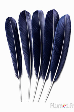 Schwan Seide - 25-30 cm - schwarz